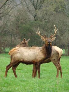 Hiking The Ozarks' Lost Valley Image
